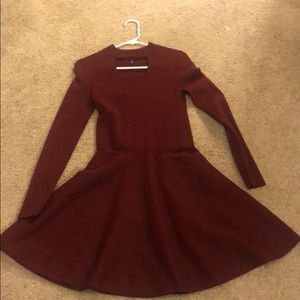 Express Maroon Skater Dress